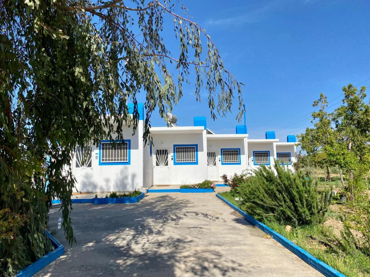 Elgreco Apartment, At Tigaki, Near The Sea "4" Exterior photo